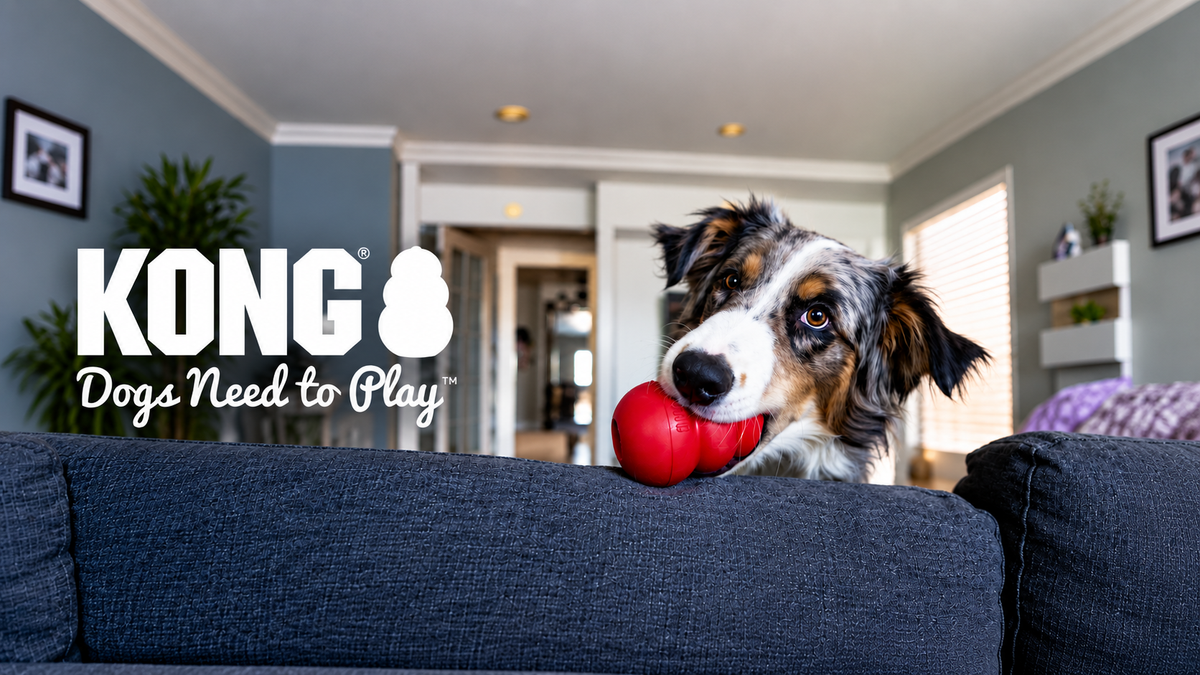 KONG for Dogs