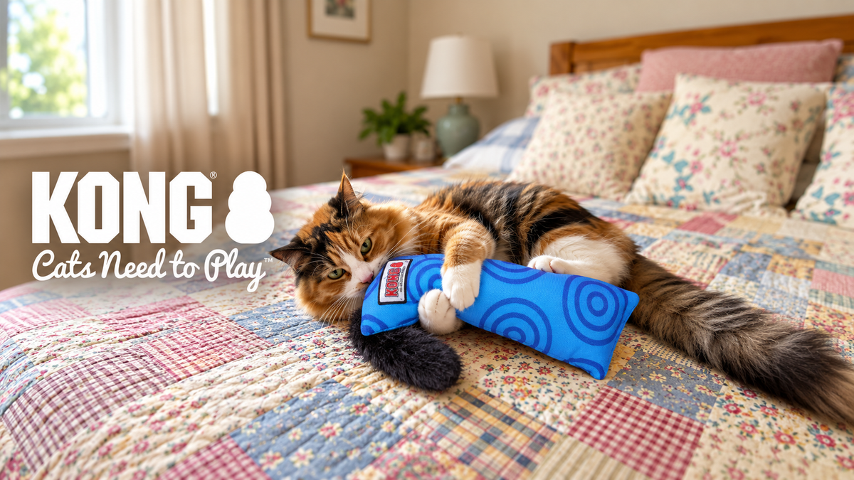 KONG Cat