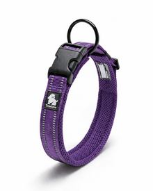 Reflektierendes Komfort-Hundehalsband mit Soft-Mesh & Anti-Würge-Design