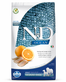 Ocean - Adult Medium & Maxi - Hering & Orange Adult Medium & Maxi
