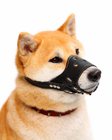 Adjustable Leather-Look Dog Muzzle – Breathable, Soft-Lined, and Securely Adjustable