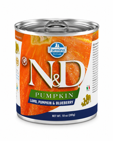 Pumpkin - Adult - 5 Sorten mit Kürbis