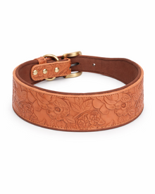 Embossed Premium Dog Collar with Soft Lining – floral, soft & stylish
