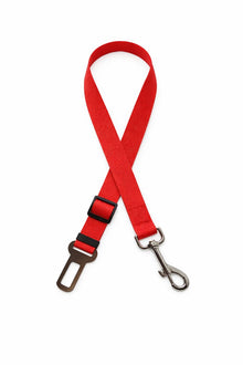 Car safety belt for dogs