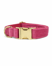Samt-Hunde- & Katzenhalsband & Zubehör-Set