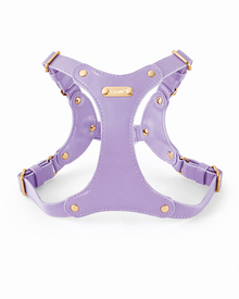 Style, comfort and control in a particularly beautiful form