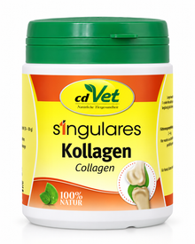 cdVet Singulares Kollagen – reines Kollagen-Hydrolysat für Gelenke, Bindegewebe & Haut