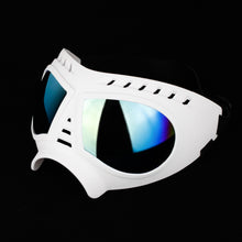 The windproof dog goggles for true four-legged VIPs
