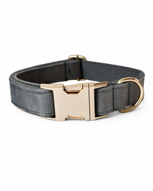 Samt-Hundehalsband-Set in Silbergrau mit Leine & Fliege – elegantes Velvet-Set mit goldfarbenen Details