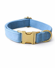 Blaues Samt-Hundehalsband & Leine