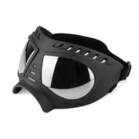 The windproof dog goggles for true four-legged VIPs