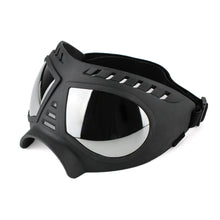 The windproof dog goggles for true four-legged VIPs