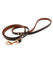 Leather Dog Leash – robust & stylish