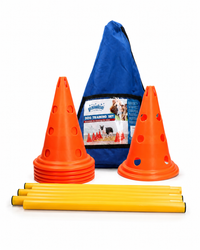Trainingsset mit Pylonen & Hürden für Hunde
