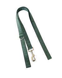 Green velvet set for dogs
