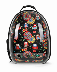 Space Backpack with a Clear View