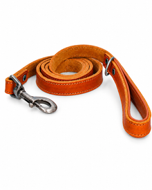 Spotted Pro Leder Hundeleine - Hochwertige Rindsleder-Leine mit gepolstertem Griff