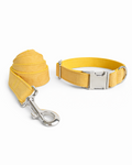 Collar and leash