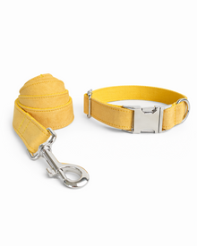 Hundehalsband-Set in Gelb mit Leine & Fliege – stilvolles Halsband für elegante Spaziergänge