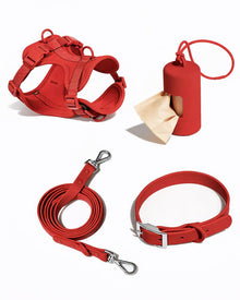 Hundegeschirr + Halsband + Leine (PVC) - robust & wasserfest