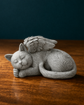 Katze