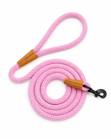 Nylon dog leash for medium and large dogs – robust, soft & easy to grip in purple