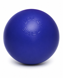Jolly Pets Push-n-Play Hundeball