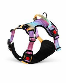 LED-Hundegeschirr – USB-aufladbares Sicherheitsgeschirr mit Leuchtfunktion