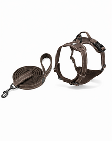 Reflektierendes Hundebrustgeschirr mit Leine – bequemes & verstellbares Set