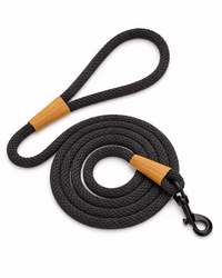 Nylon dog leash for medium and large dogs – robust, soft & easy to grip in purple