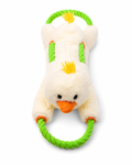 Quacker das Entchen