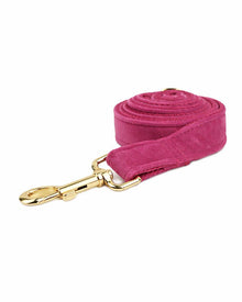 Samt-Hunde- & Katzenhalsband & Zubehör-Set