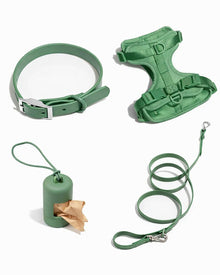 Hundegeschirr + Halsband + Leine (PVC) - robust & wasserfest