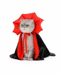 Der kleine Fürst der Finsternis - Halloween Vampir-Umhang für Hunde & Katzen