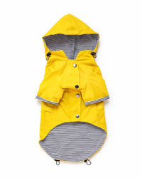 Dog raincoat – wind & waterproof in British style