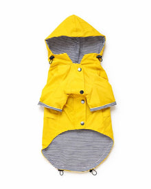 Dog raincoat – wind & waterproof in British style