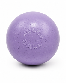 Jolly Pets Bounce-n-Play Hundeball