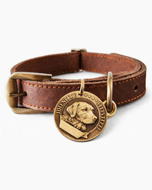 Personalized Dog Collar with Anti-Lost Dog Tag
