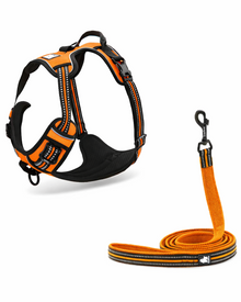 Reflektierendes Hundebrustgeschirr mit Leine – bequemes & verstellbares Set