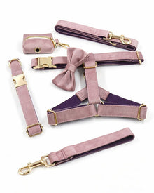 Samt-Set für Hunde in Grün oder Rosa