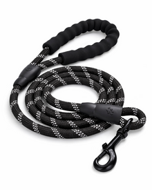Reflective Braided Nylon Dog Leash – Robust Lead for Active Dogs