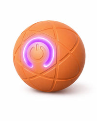 Smarter Fun: Interactive Dog Ball with Movement & Light