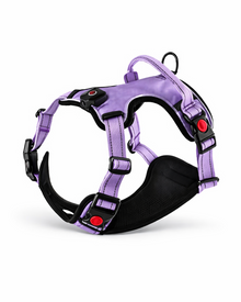 LED-Hundegeschirr – USB-aufladbares Sicherheitsgeschirr mit Leuchtfunktion
