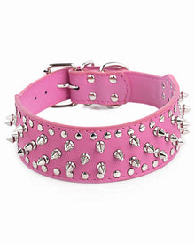 Studded PU dog collar