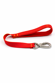 Short leash for large dogs – robust dog leash with padded handle