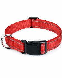 Outdoor Hunde-Halsband aus Nylon