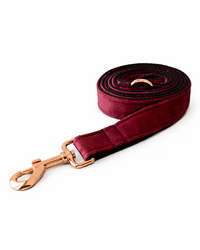 Velvet Dog Collar Set with Leash & Bow Tie in Bordeaux – Elegant Velvet Collar with Rose Gold Details
