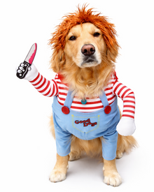 The cheeky scare with the cuddle factor - Halloween Horror Costume for Dogs