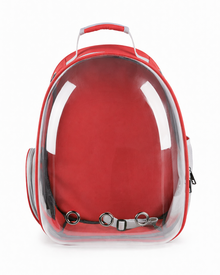 Space Backpack with a Clear View
