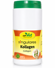 cdVet Singulares Kollagen – reines Kollagen-Hydrolysat für Gelenke, Bindegewebe & Haut